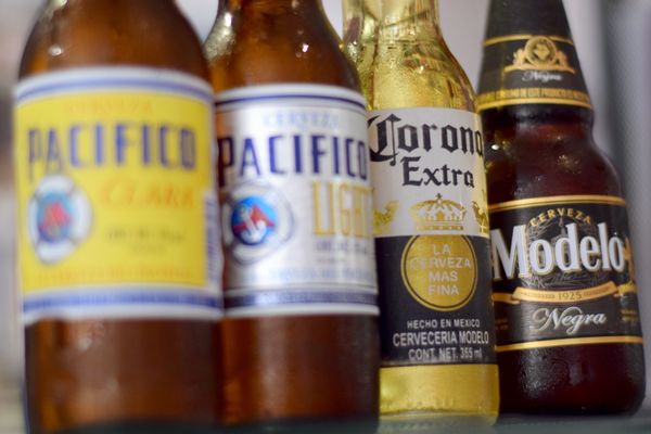 A Page In The Sun by null