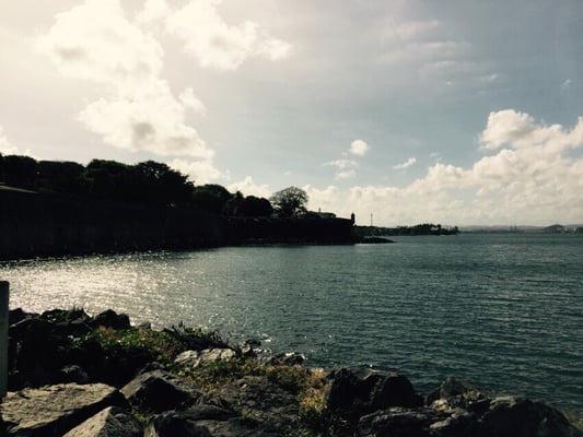 Paseo de la Princesa by null