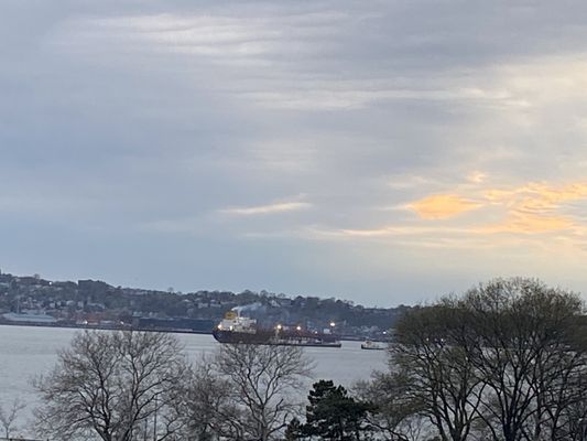 Shore Road Park by null