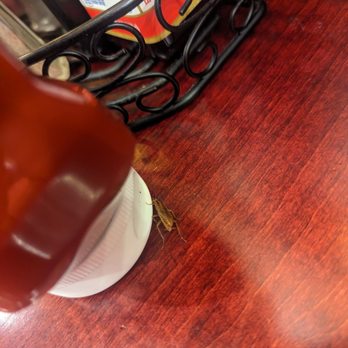 Carnegie Diner & Cafe - Breakfast & Brunch Near Me - Secaucus, New Jersey
