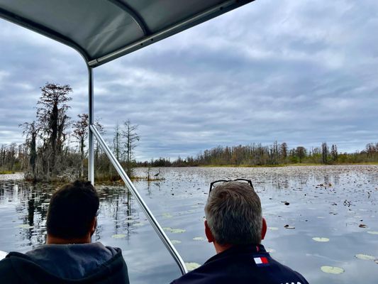 Okefenokee National Wildlife Refuge by null