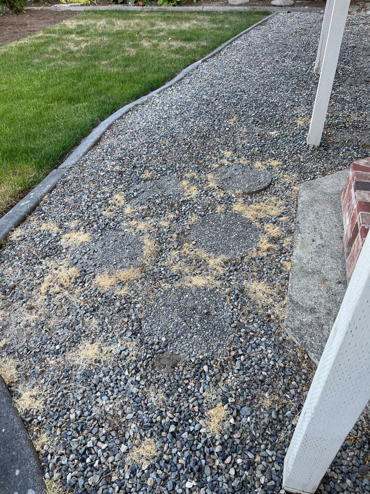 Slide of Kaiser Sewer Repair