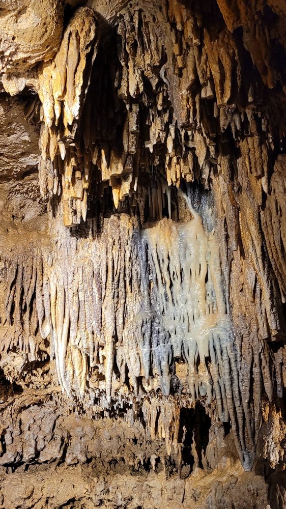 Cave of the Mounds Logo