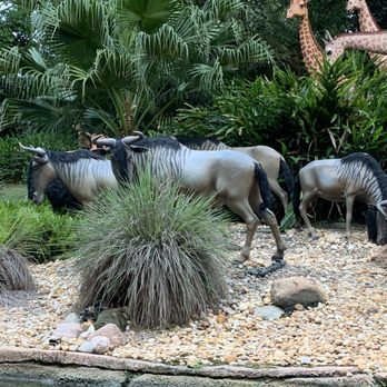 Jungle Cruise - 07.14.19 - Amusement Parks Near Me - Orlando, Florida