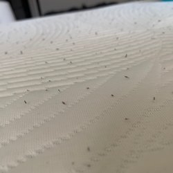 Mattress Warehouse