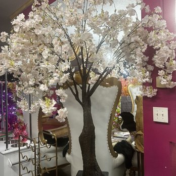 Pink Goddess Palace - Nail Salons Near Me - Pensacola, Florida