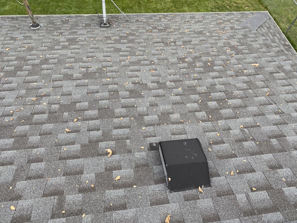 THE TREE GUYS Tree Services 5755 Willowdale Rd, Springfield, OH