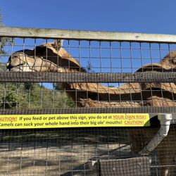 Smoky Mountain Deer Farm And Exotic Petting Zoo