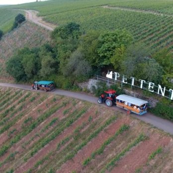 Weingut Buhl - Weinbergsrundfahrt aus der Vogelperspektive. - Beer, Wine & Spirits Near Me - Nierstein, RP Weingut Buhl - Weinbergsrundfahrt aus der Vogelperspektive. - Beer, Wine & Spirits Near Me - Nierstein, RP