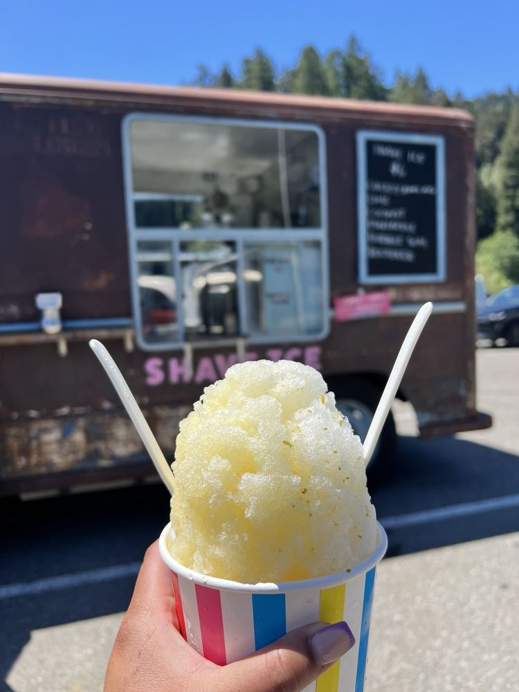 The Mondo Truck Logo