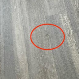 They claim I caused this indent and that I should have known that furniture "can't go directly on floors"