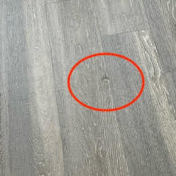 The Gallery on Wells - They claim I caused this indent and that I should have known that furniture "can't go directly on floors" - Apartments Near Me - Chicago, Illinois