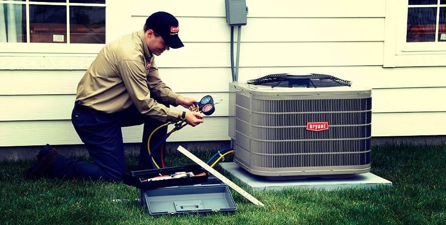 Slide of Green Apple Mechanical