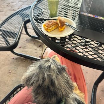 FS Coffee - Breakfast sandwhich and WiFi - Breakfast & Brunch Near Me - St. George, Utah