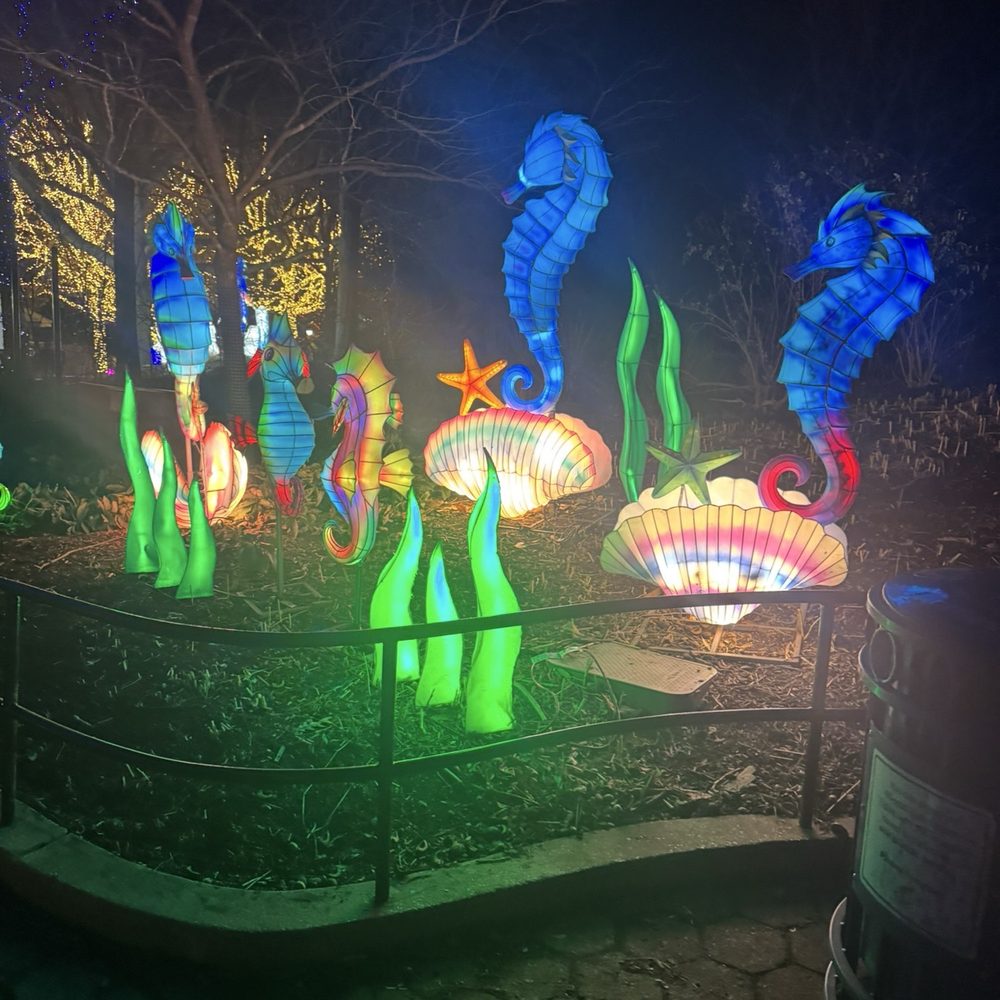 ZooLights - lanterns at zoo lights - Zoos Near Me - Washington, DC, District of Columbia