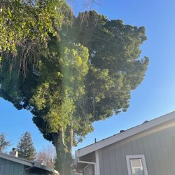 Delta Tree Service