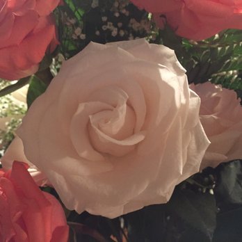 Boyd's Flowers - Florists Near Me - Wilmington, Delaware