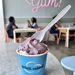Gelati Celesti - Blueberry mascarpone @ feisty.eats