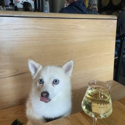 Dog friendly!