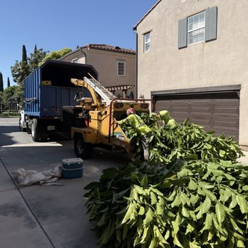 Ureno Tree Service - Tree Services Near Me - Anaheim, California Ureno Tree Service - Tree Services Near Me - Anaheim, California