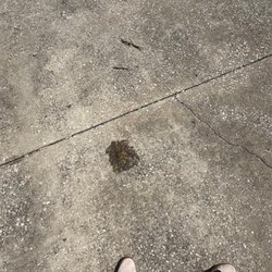 Kia - Photo from the service manager after she told me "there's no leaks internally or externally"