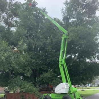 Godhans - Tree Services Near Me - Jacksonville, North Carolina Godhans - Tree Services Near Me - Jacksonville, North Carolina