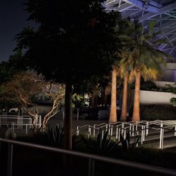 YouTube Theater - Outside