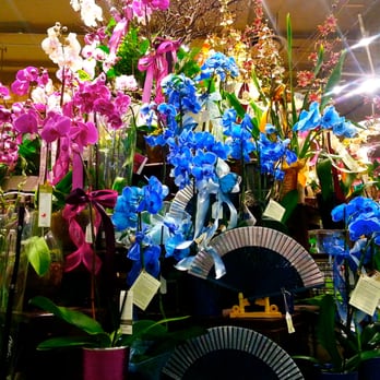Vons - The nicest orchid collection I have ever seen. - Grocery Near Me - Arcadia, California