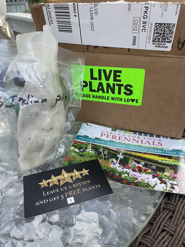 NATIVE WILDFLOWERS NURSERY 14 Photos & 15 Reviews Altamont