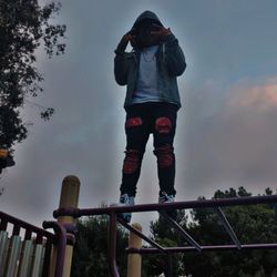 Jungle gym