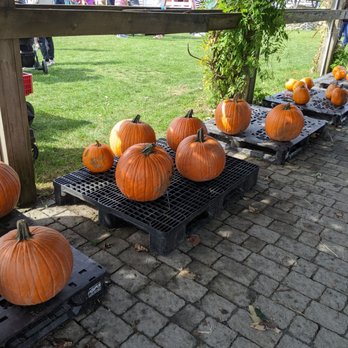 The Farm - Pumpkins - Farms Near Me - Plymouth, Massachusetts The Farm - Pumpkins - Farms Near Me - Plymouth, Massachusetts