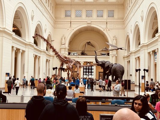 Field Museum by null Field Museum by null