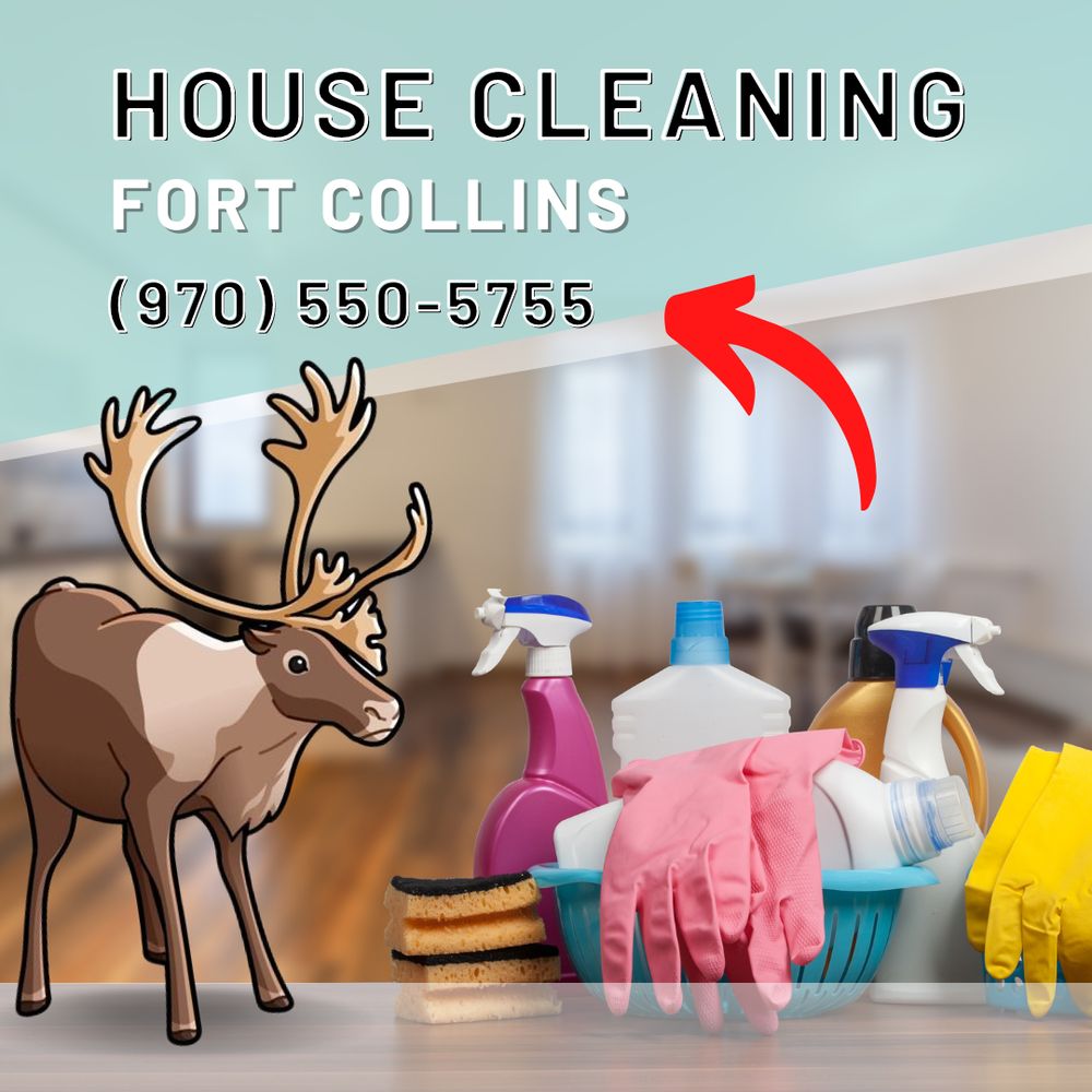 CARIBOU CLEANING Updated September 2024 240 Photos 3450 Lost Lake