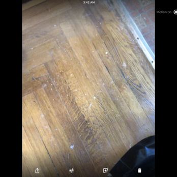 Paint On Hardwood Floors No Floor Cover Used Yelp