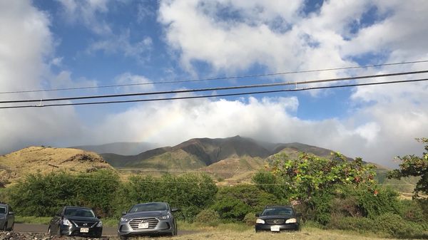 Olowalu Beach by null