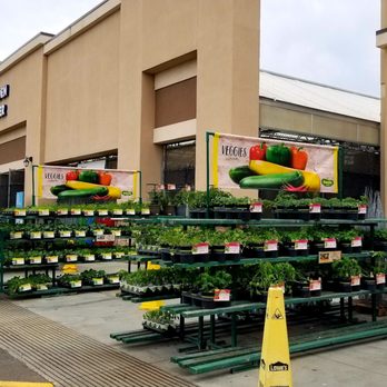 Lowe's Home Improvement - Veggie plants are in for spring.. - Hardware Stores Near Me - Madera, California
