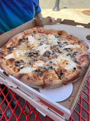 Volo Craft Pizza by null
