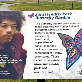 Jimi Hendrix Park - Supposedly, there's a Butterfly Garden but it's not obvious... - Parks Near Me - Seattle, Washington