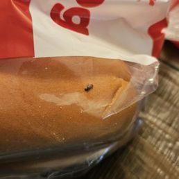 Yhere us a brown bug inside the bag of hot dog buns. I returned to the store. Yhere us a brown bug inside the bag of hot dog buns. I returned to the store.