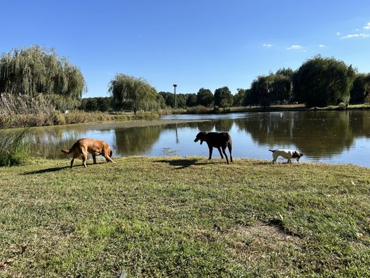 Inn at Huntingfield Creek and Getaway Cottages by null
