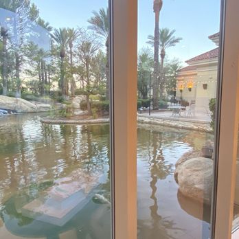 Ai Pazzi - Nearby view of the koi pond - Italian Near Me - Las Vegas, Nevada