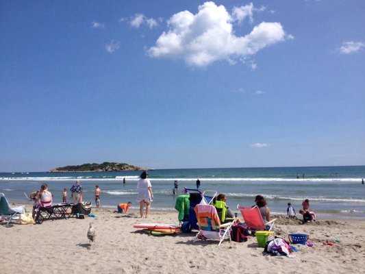 Good Harbor Beach by null
