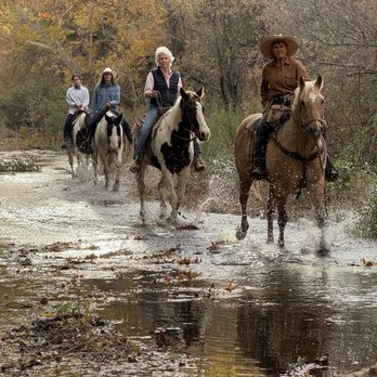 Circle Z Ranch - Horseback Riding Near Me - Patagonia, Arizona