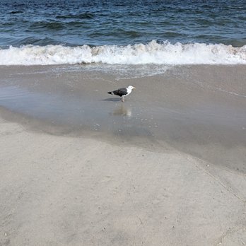 Point Pleasant Beach - Beaches Near Me Point Pleasant Beach - Beaches Near Me