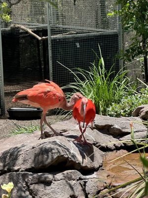 Mississippi Aquarium by null