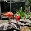 Mississippi Aquarium gift card