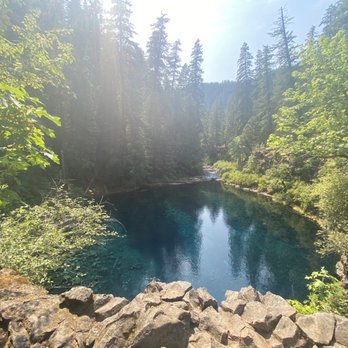 Tamolitch Blue Pools - Hiking Near Me
