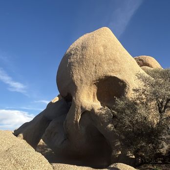 Joshua Tree National Park - Parks Near Me - Joshua Tree, California Joshua Tree National Park - Parks Near Me - Joshua Tree, California