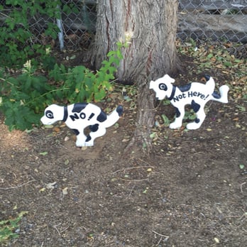 3 Flags Trading Post - Gift Shops Near Me - Coleville, California