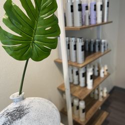 Evolve by Tara - We are obsessed with our hair care line because for the first time we can cocktail products and our hair doesn't get weighed down!